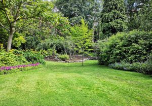 Optimiser l'expérience du jardin à Lhopital