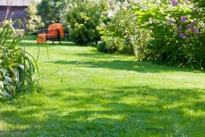 travaux jardin et paysage Lhopital